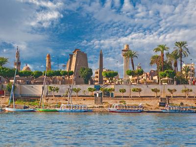 Egypt Air MS - Flights, Reviews & Cancellation Policy - KAYAK