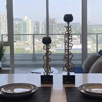 Brand New Starling Luxury Condo with Stunning Views-30 day min stay